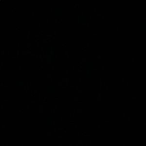 Meet your Posher, Ella